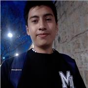 Aprende la lógica de programación o un lenguaje en particular (C, Java, JavaScript, PHP, HTML, SQL)